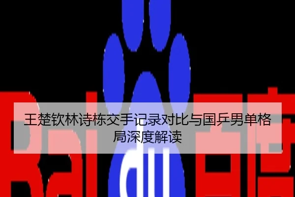 王楚钦林诗栋交手记录对比与国乒男单格局深度解读